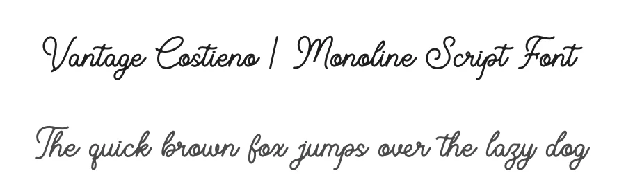Vantage Costieno | Monoline Script Font by Gracetypestudio — Script Handwritten Font