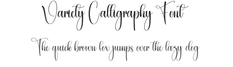 Variety Calligraphy Font by creativeletter — Script Handwritten Font