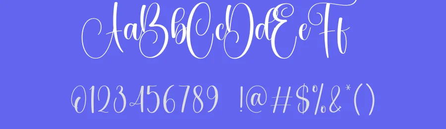 Variety Calligraphy Font by creativeletter — Script Handwritten Font — thumbnail 3