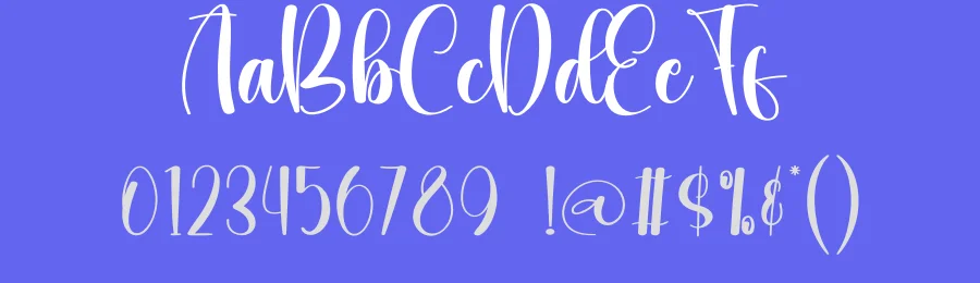 Variety Script Font by creativeletter — Script Handwritten Font — thumbnail 3
