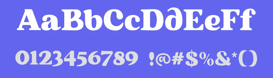 Vaselina Font by Mevricks Studio — Serif Font — thumbnail 3