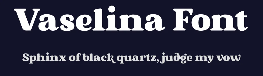 Vaselina Font by Mevricks Studio — Serif Font — thumbnail 2