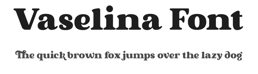 Vaselina Font by Mevricks Studio — Serif Font