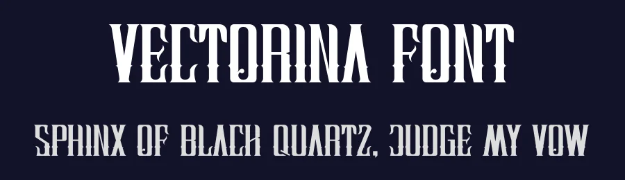 Vectorina Font by albert_kalingga — Serif Font — thumbnail 2