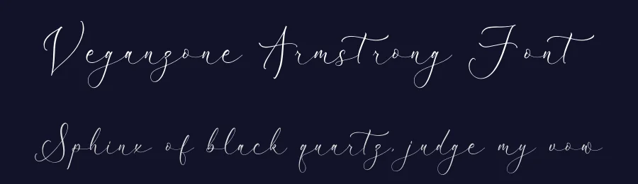 Veganzone Armstrong Font by Storytype — Sans Serif Font — thumbnail 2