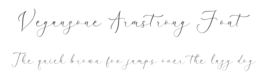 Veganzone Armstrong Font by Storytype — Sans Serif Font