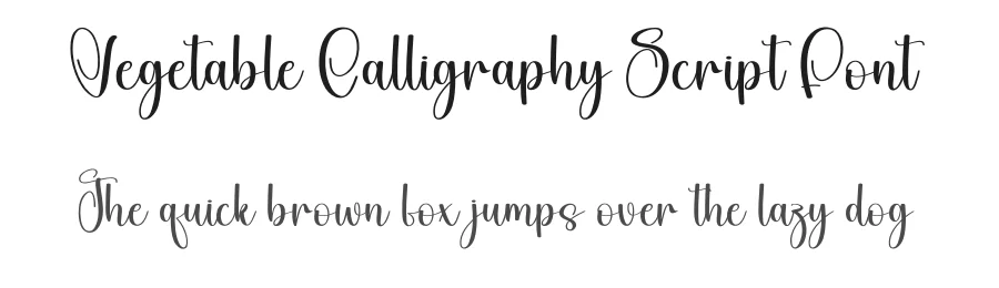 Vegetable Calligraphy Script Font by creativeletter — Script Handwritten Font