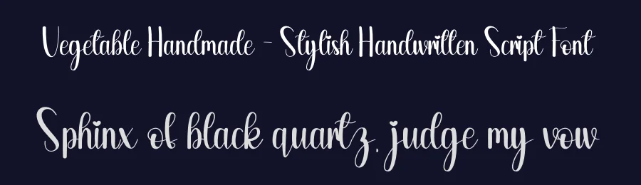 Vegetable Handmade – Stylish Handwritten Script Font by andikastudio — Script Handwritten Font — thumbnail 2