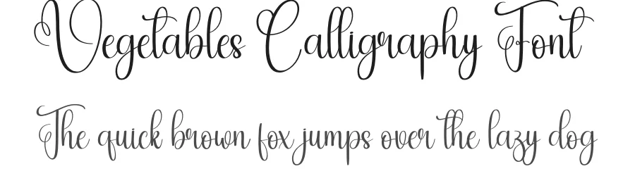 Vegetables Calligraphy Font by creativeletter — Script Handwritten Font