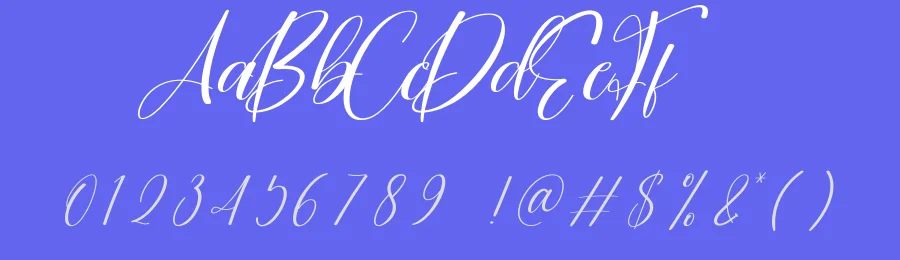 Vegetables Calligraphy Script Font by creativeletter — Script Handwritten Font — thumbnail 3