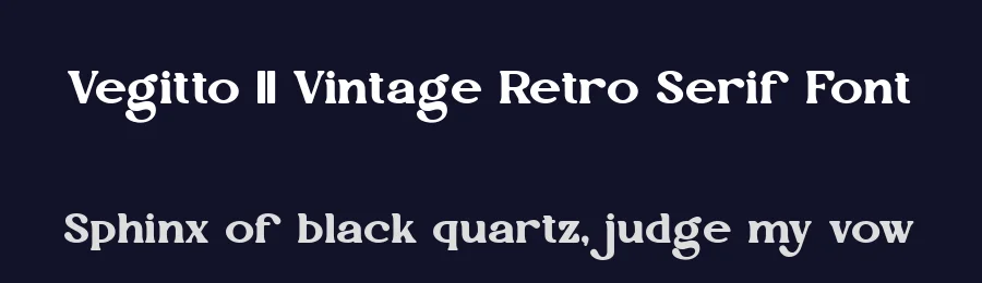Vegitto || Vintage Retro Serif Font by ErmediaStudio — Display Font — thumbnail 2
