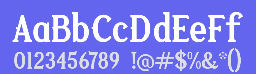 Vejlikan Font by Storytype — Serif Font — thumbnail 3