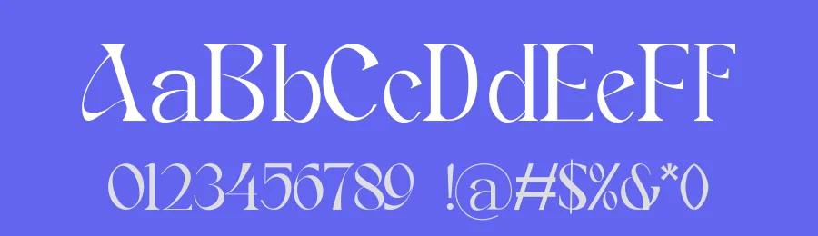 Veldman Font by JNJ studio — Serif Font — thumbnail 3