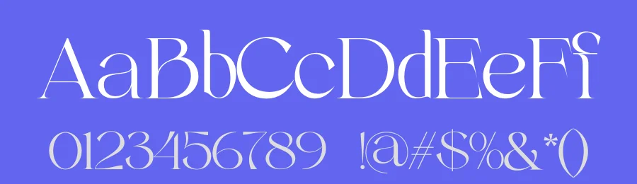 Velick Font Family by zaain type — Serif Font — thumbnail 3