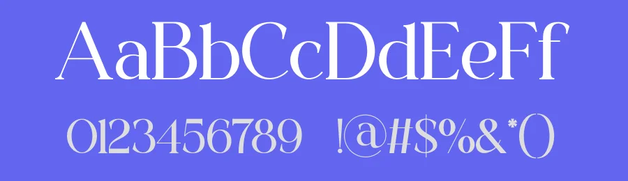Vellane Font by SlideShoot — Serif Font — thumbnail 3