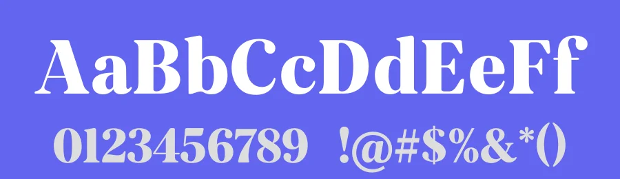 Veloire Font by syauqistudio — Serif Font — thumbnail 3