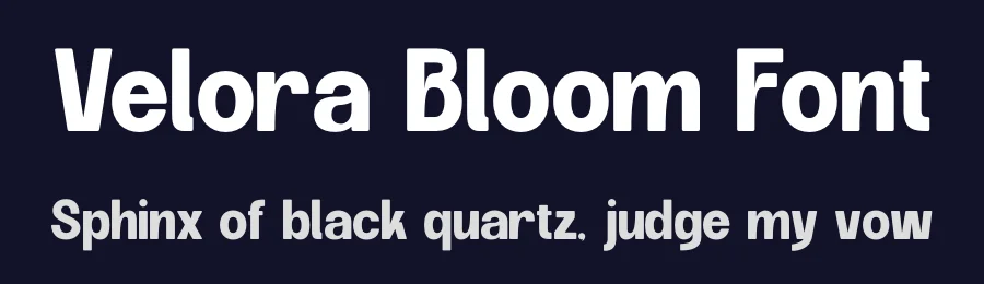 Velora Bloom Font by Nirmana Visual — Sans Serif Font — thumbnail 2
