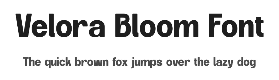 Velora Bloom Font by Nirmana Visual — Sans Serif Font