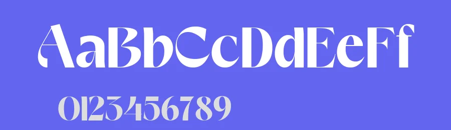 Vemka Font by Ibrahima_Studio — Serif Font — thumbnail 3