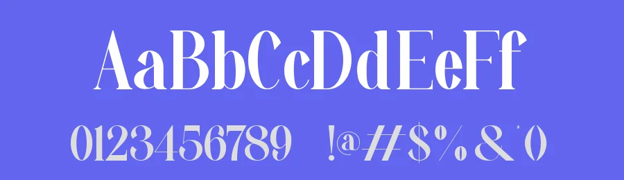 Vendita || Modern Elegant Serif Font by ErmediaStudio — Display Font — thumbnail 3