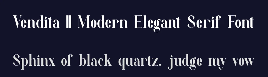 Vendita || Modern Elegant Serif Font by ErmediaStudio — Display Font — thumbnail 2