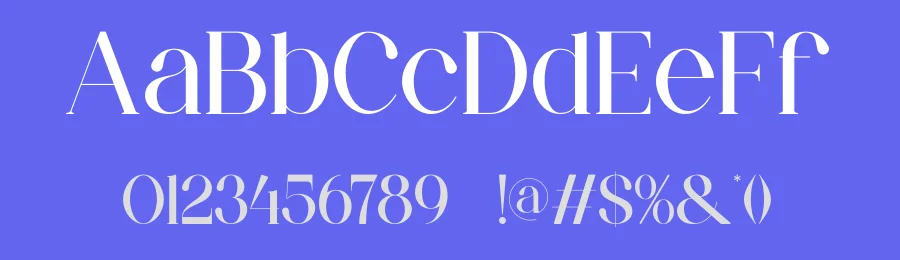 Venume Font by ErmediaStudio — Serif Font — thumbnail 3