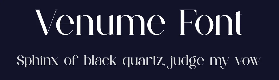 Venume Font by ErmediaStudio — Serif Font — thumbnail 2