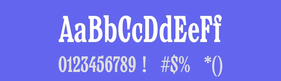 Verpacker Font by Bolditalic Studio — Display Font — thumbnail 3