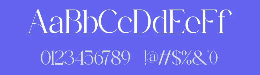Verune Font by ErmediaStudio — Serif Font — thumbnail 3