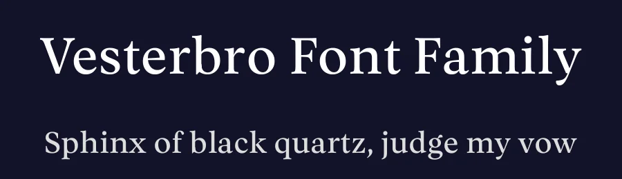 Vesterbro Font Family by Black Foundry — Serif Font — thumbnail 2