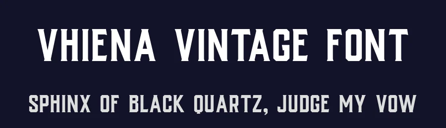 Vhiena Vintage Font by Gfont — Serif Font — thumbnail 2