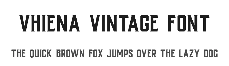 Vhiena Vintage Font by Gfont — Serif Font