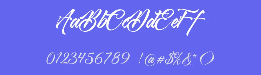 Viana Script Font by graphicpear — Script Handwritten Font — thumbnail 3