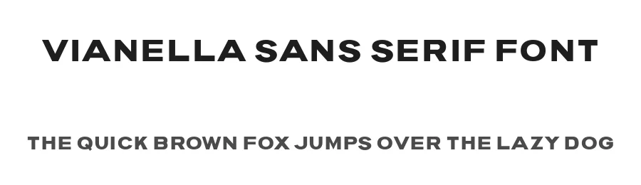 Vianella Sans Serif Font by unblast — Decorative Font