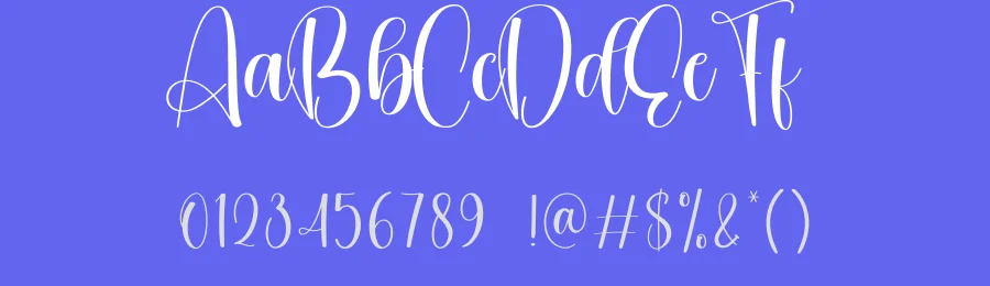 Vibrant Script Font by creativeletter — Script Handwritten Font — thumbnail 3