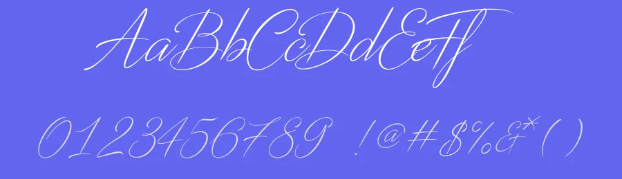 Victories Signature Font by Typeface — Script Handwritten Font — thumbnail 3