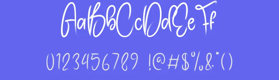 Videography Brush Font by andikastudio — Script Handwritten Font — thumbnail 3