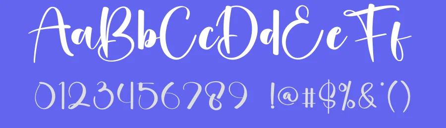 Videography Calligraphy Font by creativeletter — Script Handwritten Font — thumbnail 3