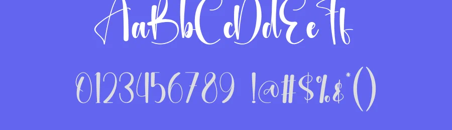 Vidiography Script Font by creativeletter — Script Handwritten Font — thumbnail 3