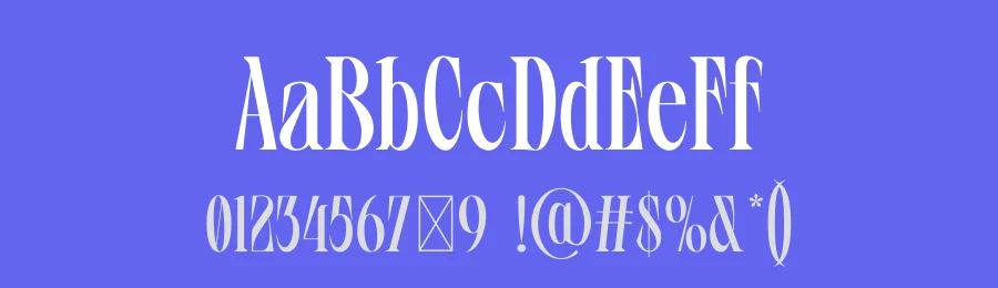 Vifellia Font by Bagerich Type Foundry — Serif Font — thumbnail 3