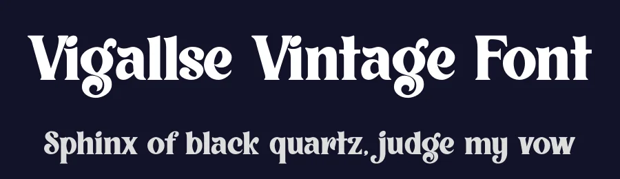 Vigallse Vintage Font by Krakenbox — Sans Serif Font — thumbnail 2