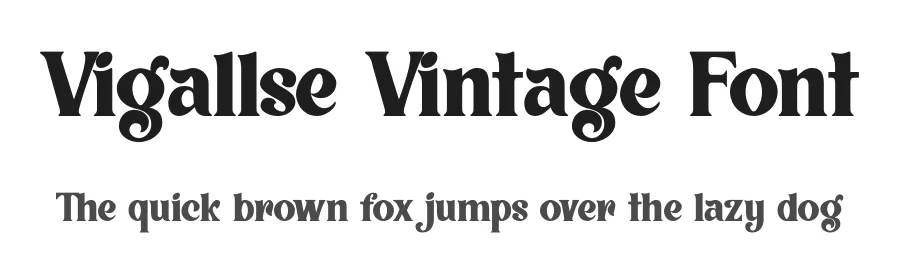 Vigallse Vintage Font by Krakenbox — Sans Serif Font