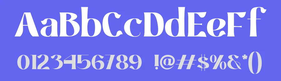 Vigrit Font by roomspace.cl — Serif Font — thumbnail 3