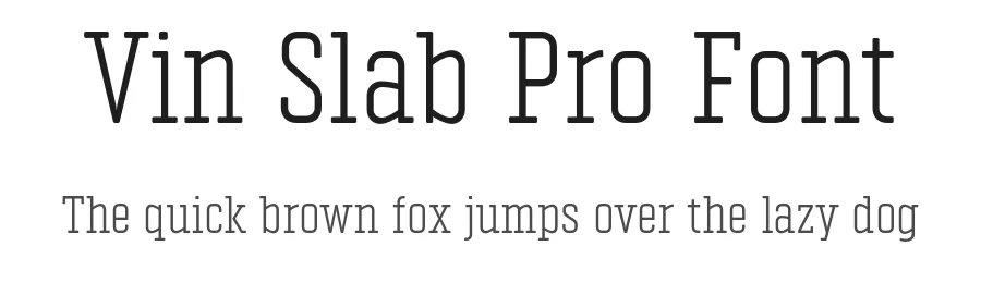 Vin Slab Pro Font by Mint Type — Slab Serif Font