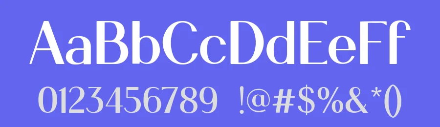 Vinagosta – A Luxury Display Font by letterhanna — Display Font — thumbnail 3