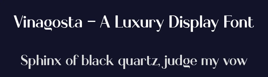 Vinagosta – A Luxury Display Font by letterhanna — Display Font — thumbnail 2