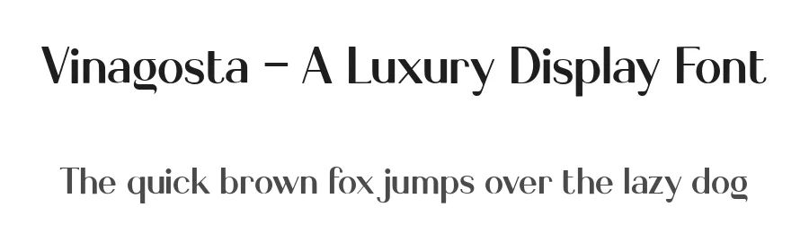 Vinagosta – A Luxury Display Font by letterhanna — Display Font