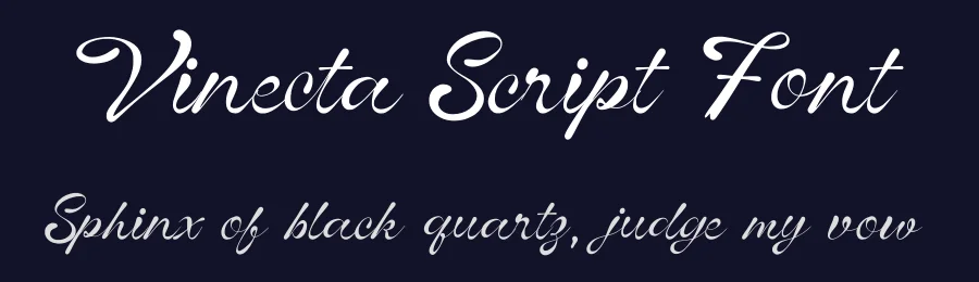 Vinecta Script Font by Dhabee — Script Handwritten Font — thumbnail 2