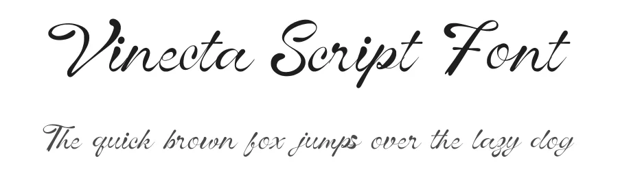 Vinecta Script Font by Dhabee — Script Handwritten Font