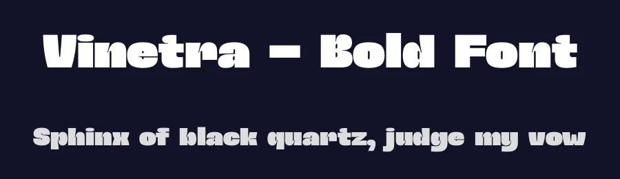 Vinetra – Bold Font by limitype — Display Font — thumbnail 2